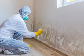 Best Commercial Mold Inspection  in Deep River Center, CT